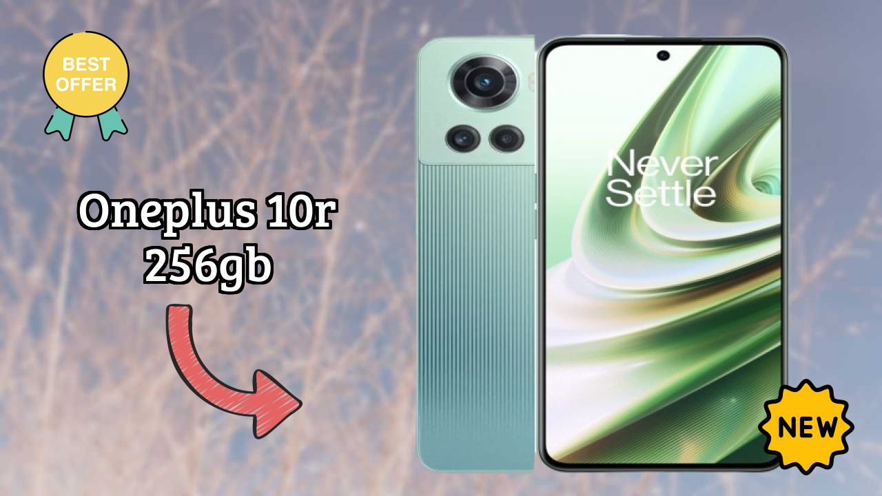 OnePlus 10R 256GB Camera Review: 50 MP + 8 MP + 2 MP Rear Camera Photo Quality